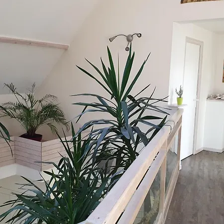 Maison D'architecte Proche De Caen Вилла *